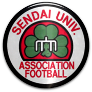 Sendai University